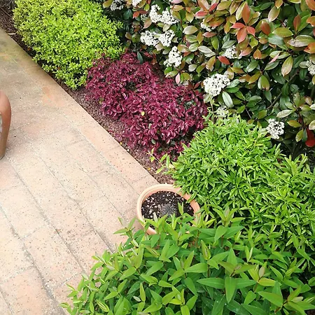 Casa Sofi Сasa de vacaciones *